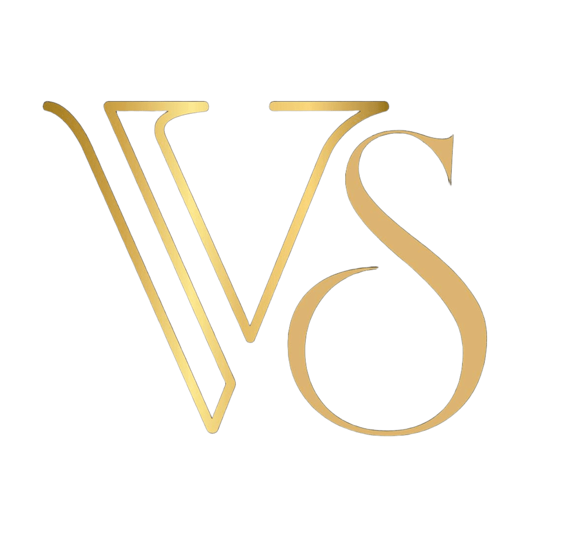 Logo VS